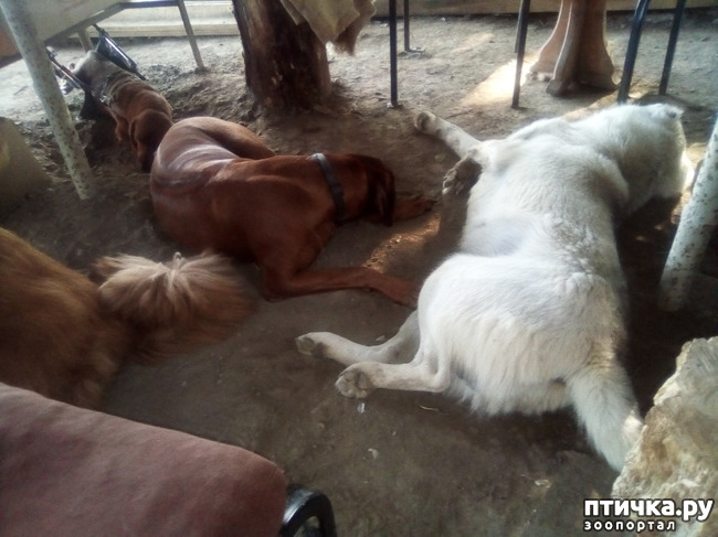 ���� 2: ������ ����.