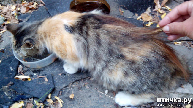 ���� 6: ������, ��� �����...