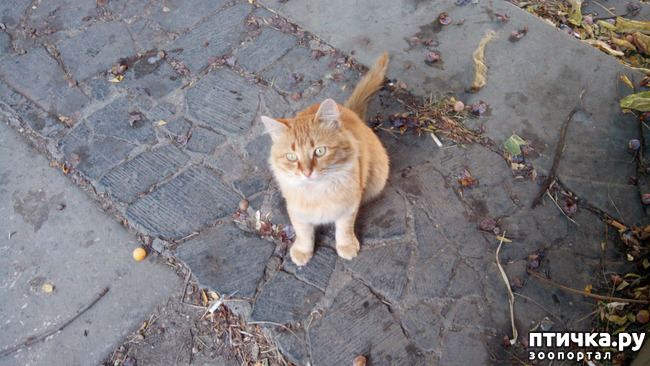 ���� 7: ������, ��� �����...