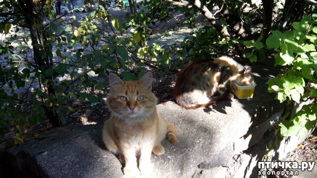 ���� 8: ������, ��� �����...