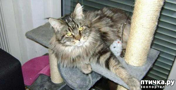 ���� 1: ����������� ����� ����������� ����