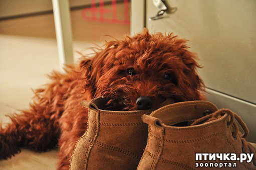 ���� 2: � �������� ������