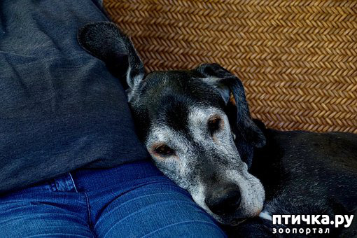 ���� 4: � �������� ������