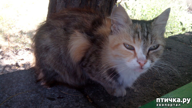 ���� 1: ������, ��� �����...