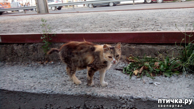 ���� 2: ������, ��� �����...