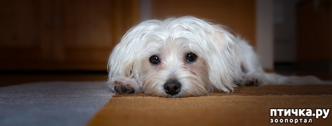 ���� 1: � �������� ������