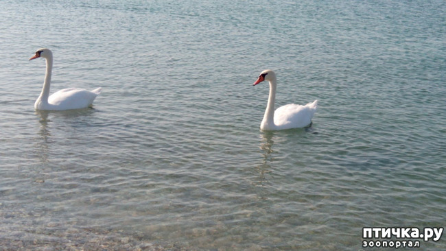 ���� 1: ������� � ��������