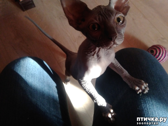 ���� 1: �����.