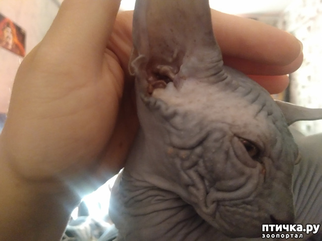 ���� 2: �����.