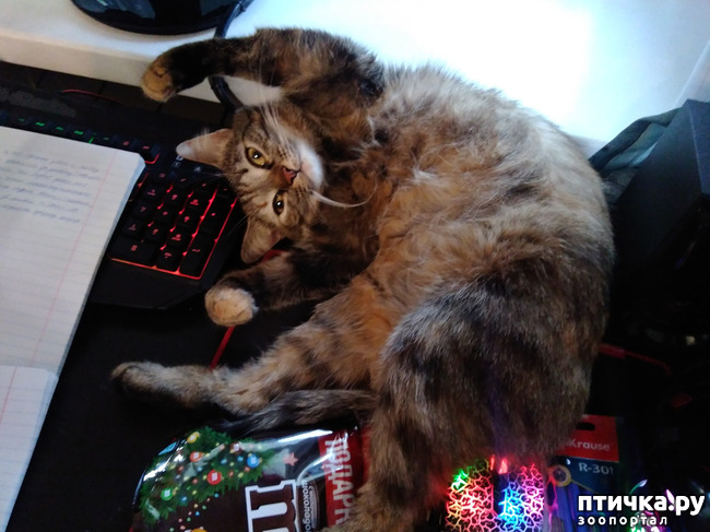 ���� 5: ���... ������...?