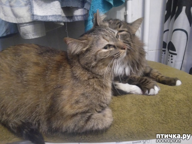 ���� 6: ���... ������...?