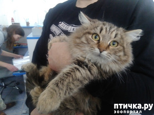 фотография: Масенькины детки. фото: Масенькины детки.