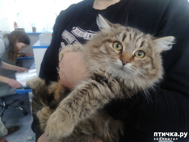 ���� 1: ���������� �����.