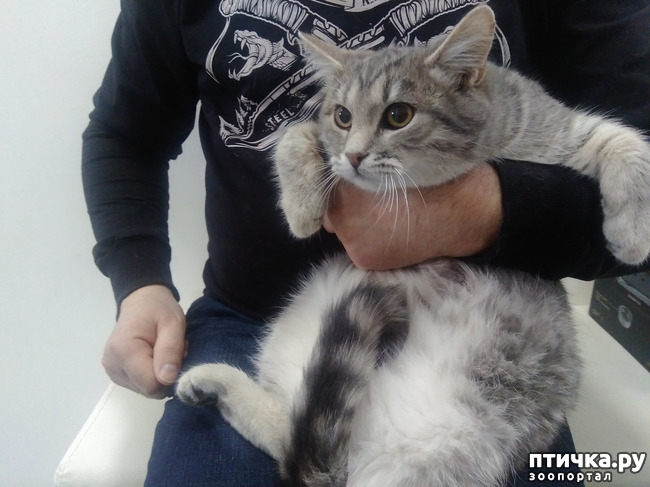 ���� 2: ���������� �����.