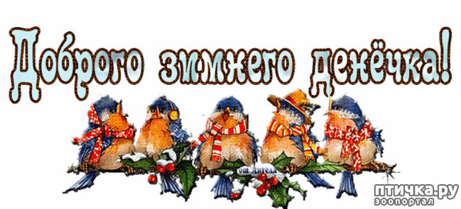 ���� 3: �������� ������������ � ������