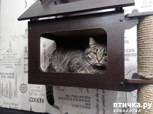 фотография: Это... Фиаско...? фото: Это... Фиаско...?