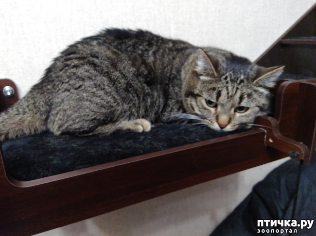 ���� 2: ���... ������...?