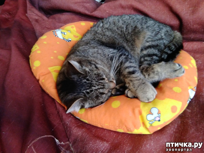 ���� 3: ���... ������...?