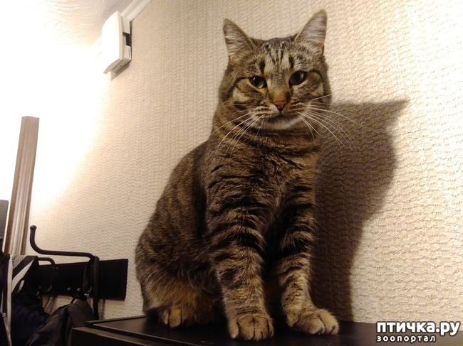 ���� 4: ���... ������...?