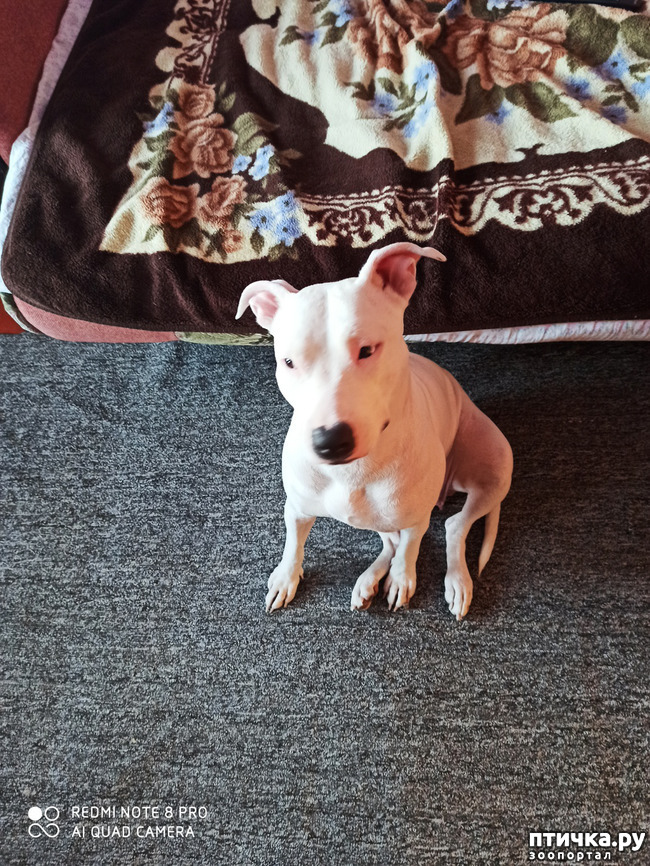 ���� 1: ������ �� ������ ��������?