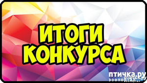 фотография: Что бы это значило? 9 Итоги фото: Что бы это значило? 9 Итоги