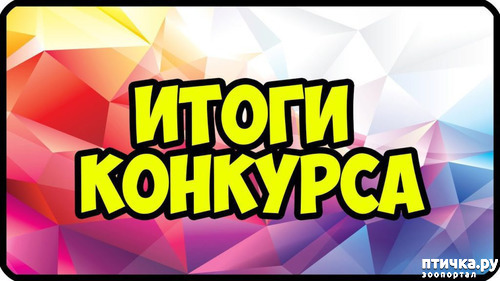 ���� 1: ��� �� ��� �������? 9 �����