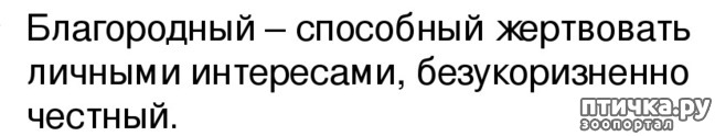 фото 2: Благородный Мартин, или вынужденная рокировка.