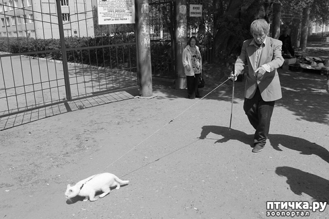 ���� 1: �������� �������� �������� � ������ �����