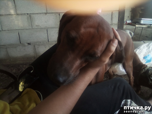 ���� 12: ���� ���� �� ����� ��������� �� ����� �����������.