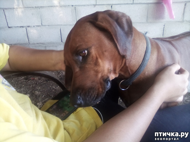 ���� 13: ���� ���� �� ����� ��������� �� ����� �����������.