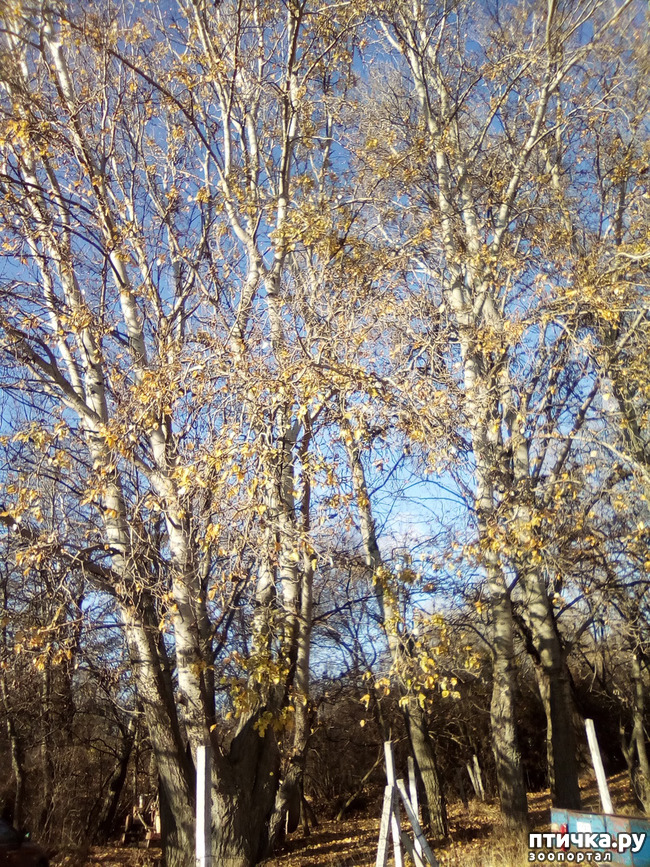 ���� 2: ���� ���� �� ����� ��������� �� ����� �����������.