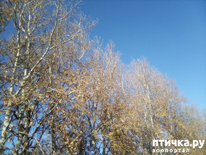 фотография: Один день из жизни животинок на земле обетованной. фото: Один день из жизни животинок на земле обетованной.