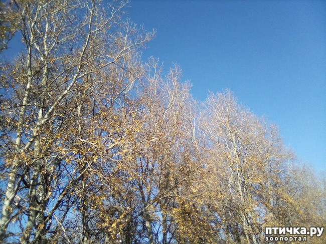 ���� 1: ���� ���� �� ����� ��������� �� ����� �����������.