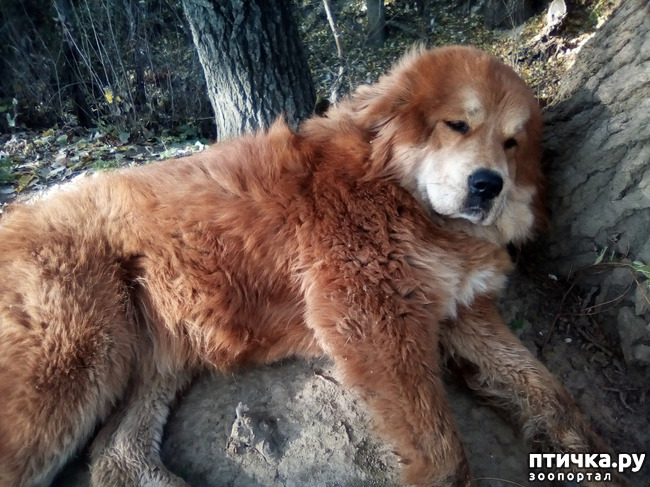 ���� 3: ���� ���� �� ����� ��������� �� ����� �����������.