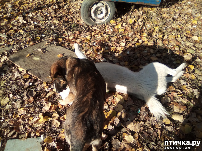 ���� 4: ���� ���� �� ����� ��������� �� ����� �����������.