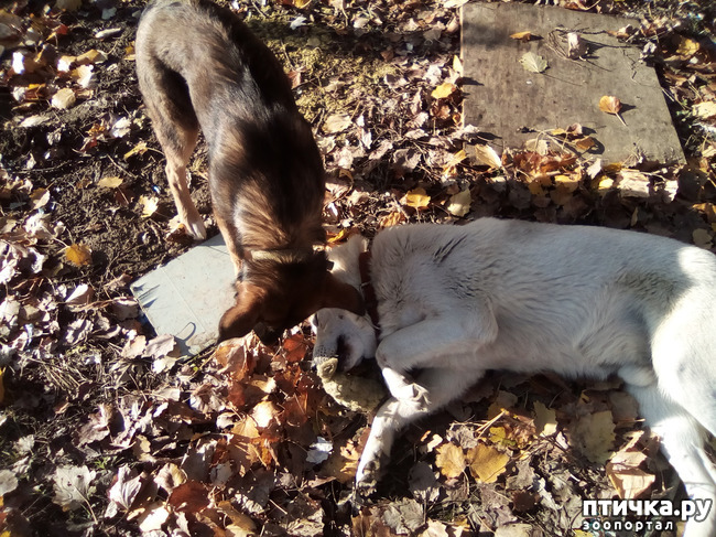 ���� 5: ���� ���� �� ����� ��������� �� ����� �����������.