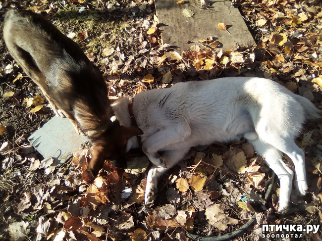 ���� 6: ���� ���� �� ����� ��������� �� ����� �����������.