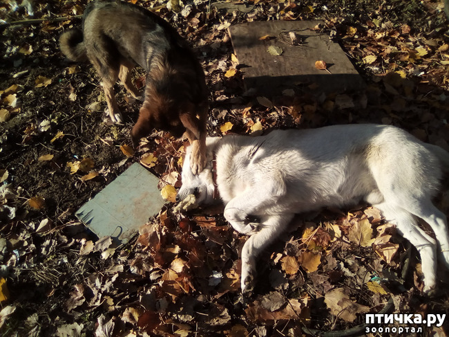 ���� 7: ���� ���� �� ����� ��������� �� ����� �����������.