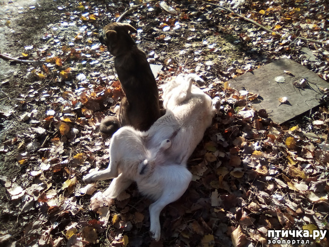 ���� 9: ���� ���� �� ����� ��������� �� ����� �����������.