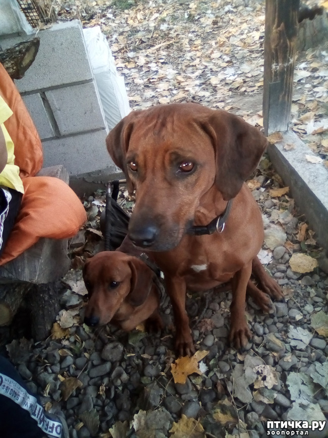 ���� 10: ���� ���� �� ����� ��������� �� ����� �����������.