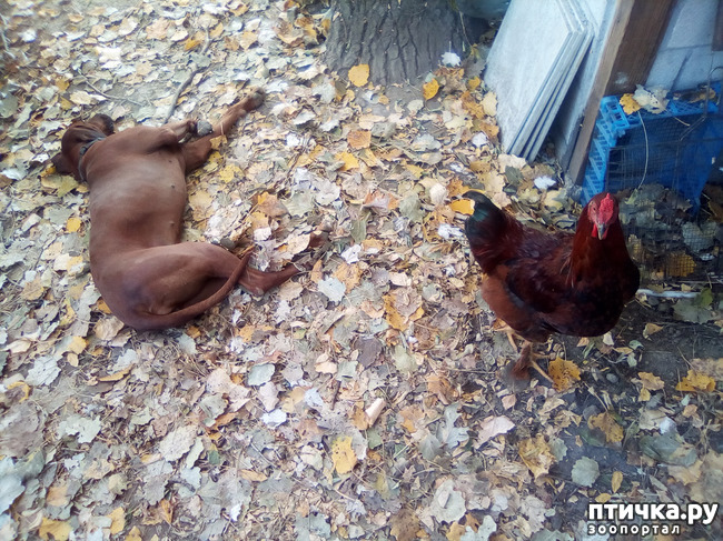 ���� 11: ���� ���� �� ����� ��������� �� ����� �����������.