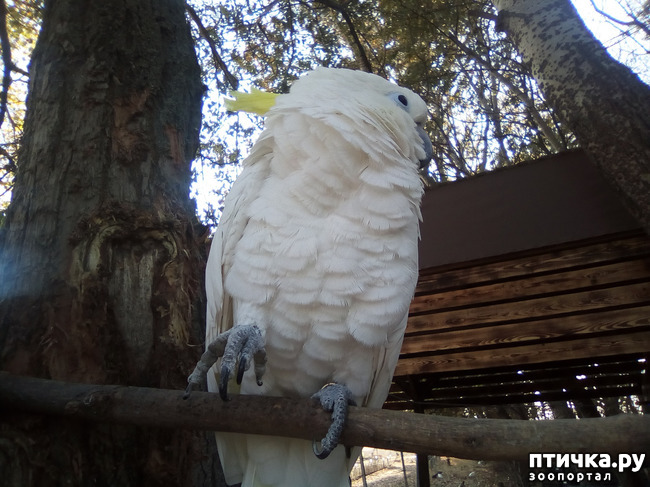 ���� 15: ���� ���� �� ����� ��������� �� ����� �����������.