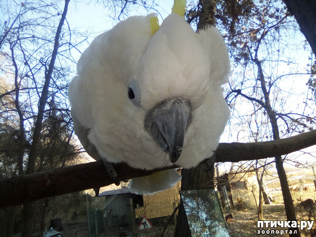 ���� 16: ���� ���� �� ����� ��������� �� ����� �����������.