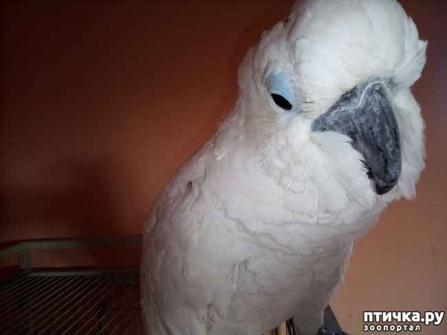 ���� 18: ���� ���� �� ����� ��������� �� ����� �����������.