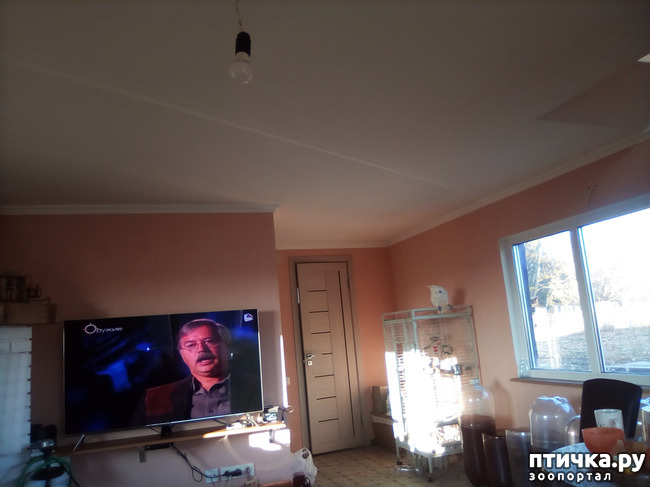 ���� 19: ���� ���� �� ����� ��������� �� ����� �����������.