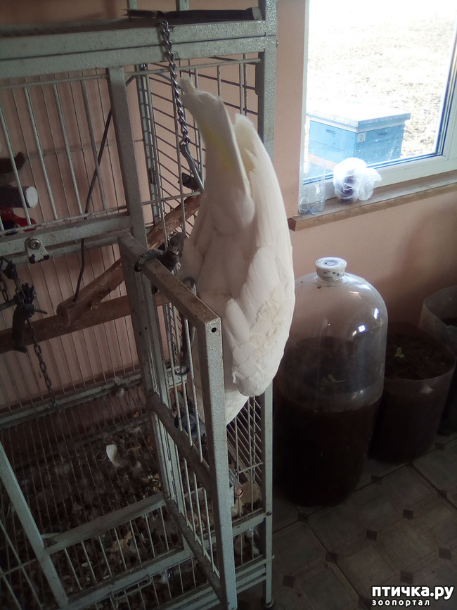 ���� 20: ���� ���� �� ����� ��������� �� ����� �����������.