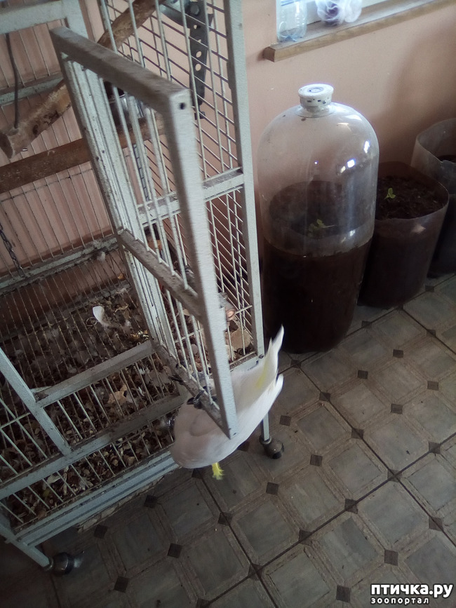 ���� 21: ���� ���� �� ����� ��������� �� ����� �����������.