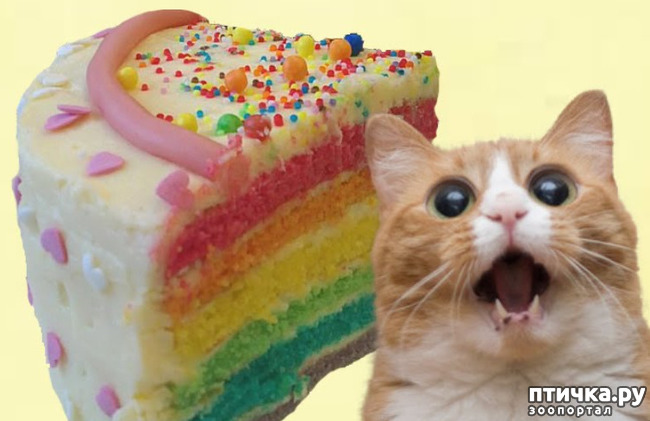 ���� 2: ����� ����� ���!