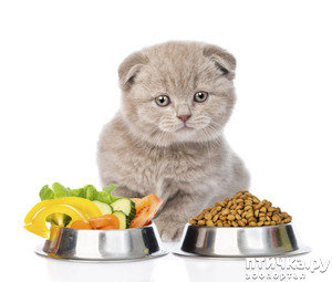 ����: ������� ������� ���� (����� ����� �� ������)