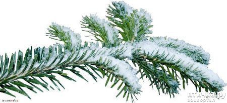 ���� 22: ����� ����� ���!